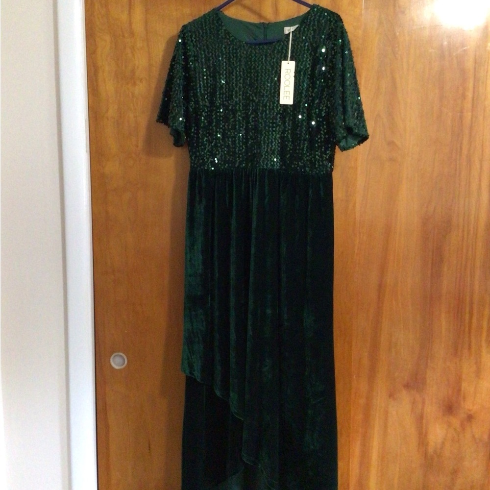 NWT Roolee Velour Dress
